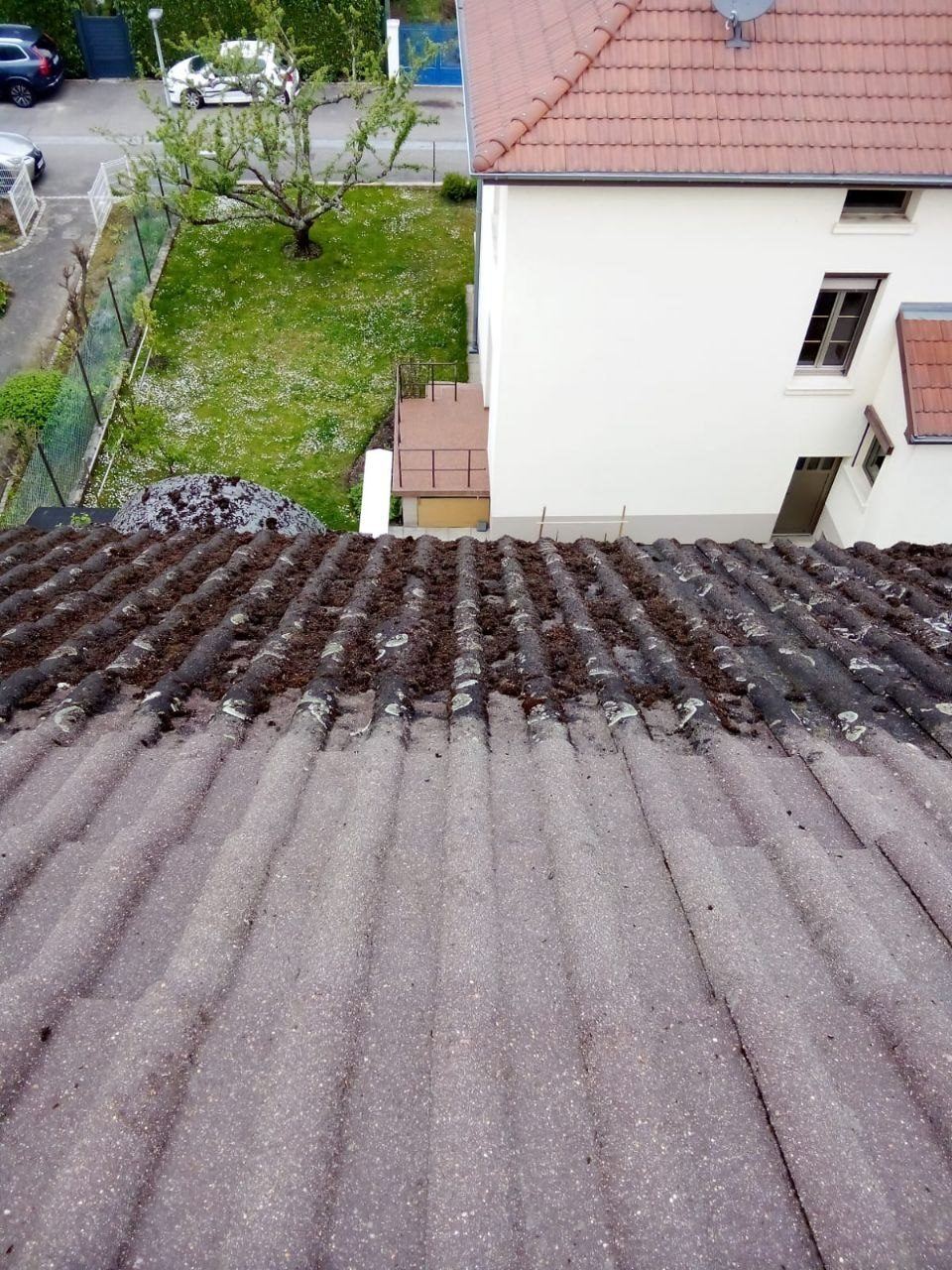 Tuiles béton encrassées par la mousse avant intervention de démoussage